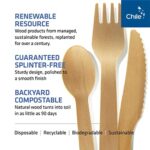 Cutlery Set – 100% Home Compostable – 100 Spoons 6.5″, Bamboo Utensils Alternative, Eco-Friendly, Organic, Sustainable and Carbon… - Image 3