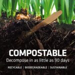 Cutlery Set – 100% Home Compostable – 100 Spoons 6.5″, Bamboo Utensils Alternative, Eco-Friendly, Organic, Sustainable and Carbon… - Image 4