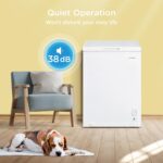 Freezer, with Freezing and Refrigeration Conversion - Image 5