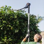 WORX WG252E.9 20V Cordless Pole Hedge Trimmer 45cm, Reach up to 2.8m - Image 6