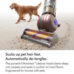 Animal UP32 Vacuum Cleaner, self-detangling vanes for pet hair (Nickel/Silver) - Image 6