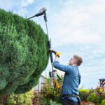 Pole Hedge Trimmer Cordless – Long Reach Telescopic Extendable Cutter for Hedges, Bushes, Branches, Shrubs – 2x 20V Batteries, Charger, Harness, 135° Adjustable Head,… - Image 9